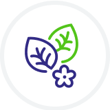 Alt Image
